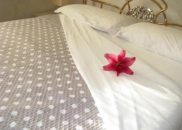 Bed & Breakfast Nelly 4*