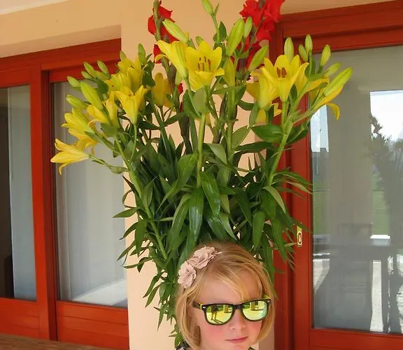 Nelly Bed & Breakfast 4*