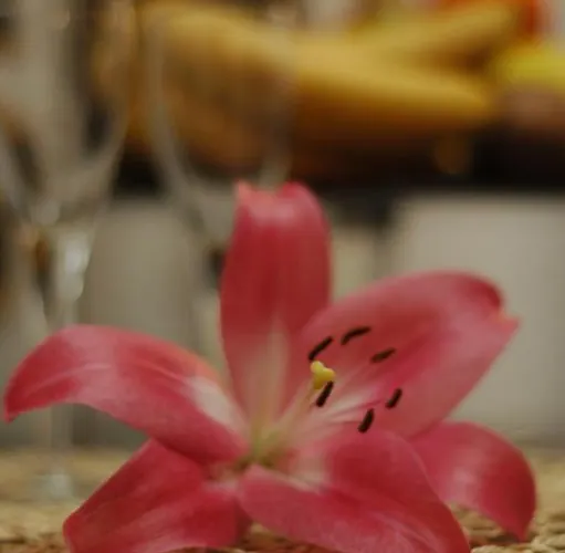 Bed & Breakfast Nelly